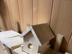 Жители Веретья смогут сделать кормушки для птиц