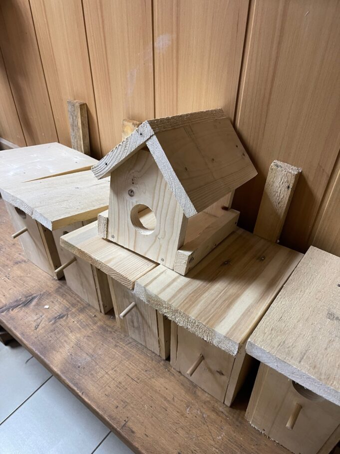 Жители Веретья смогут сделать кормушки для птиц