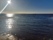 В Ярославской области закрывается навигация