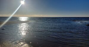 В Ярославской области закрывается навигация