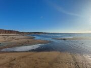 Браконьер выловил из Рыбинского водохранилища пять тонн рыбы