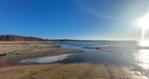 Браконьер выловил из Рыбинского водохранилища пять тонн рыбы