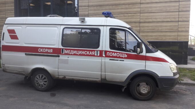 В Ярославле домашние собаки напали на 11-летнего мальчика