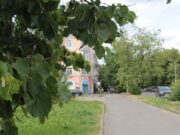 В Рыбинске опиливают деревья