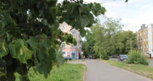 В Рыбинске опиливают деревья