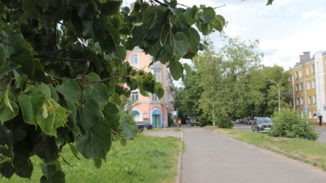 В Рыбинске опиливают деревья