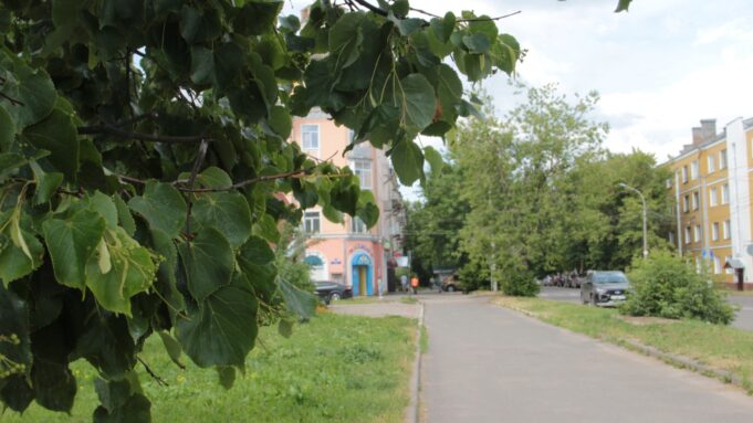 В Рыбинске опиливают деревья