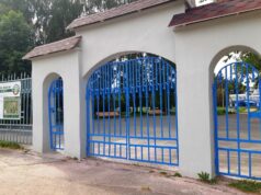 Переборский парк переходит в ведение города