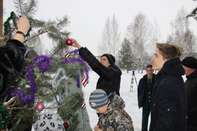 «Елочка, живи!»