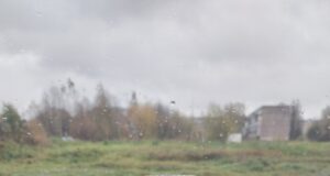 Жителя Рыбинского района оштрафовали за угон автомобиля