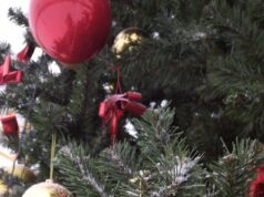 Рыбинцев приглашают на новогоднюю библиопрогулку