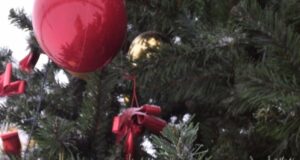 Рыбинцев приглашают на новогоднюю библиопрогулку