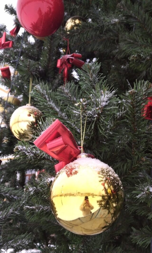 Рыбинцев приглашают на новогоднюю библиопрогулку