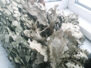 Муниципальные бани в Рыбинске могут стать частными