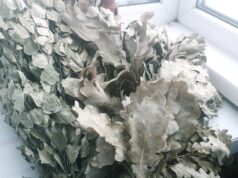 Муниципальные бани в Рыбинске могут стать частными