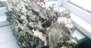 Муниципальные бани в Рыбинске могут стать частными