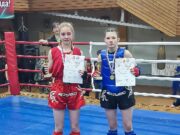 Рыбинские боксеры собрали россыпь медалей в Череповце