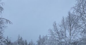 В Рыбинском районе ввели режим ЧС