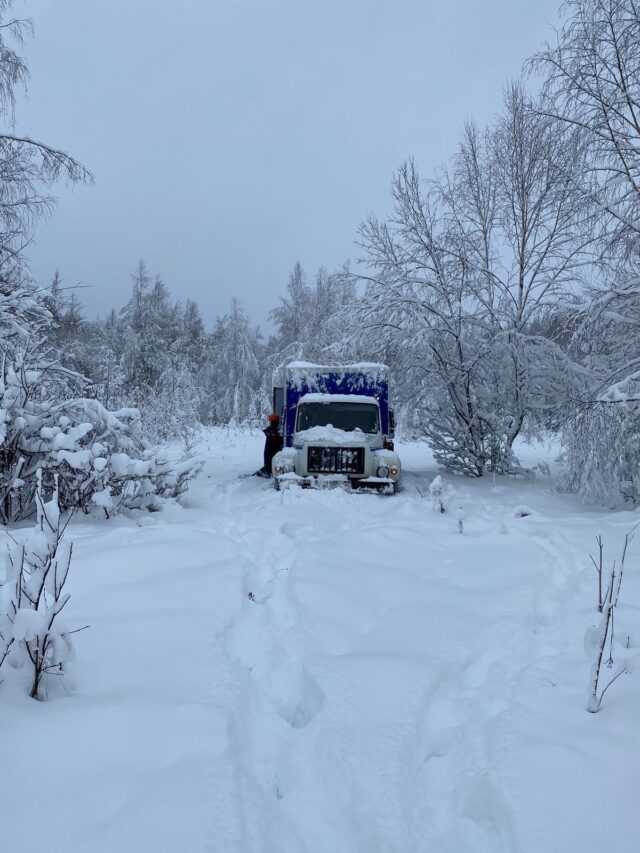 В Рыбинском районе ввели режим ЧС