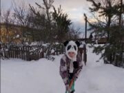 В Рыбинском районе проходит акция «Дорога к дому»