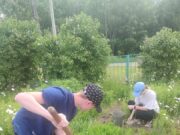 В Рыбинском районе начинается прием заявок на летнее трудоустройство молодежи