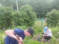 В Рыбинском районе начинается прием заявок на летнее трудоустройство молодежи