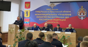 За прошлый год рыбинцы перевели телефонным мошенникам более 50 миллионов рублей