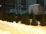 Дата проведения акции «Елкомобиль» изменилась