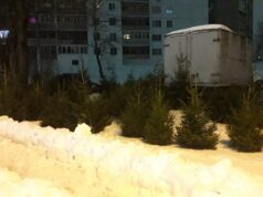 Дата проведения акции «Елкомобиль» изменилась