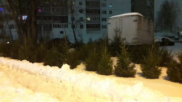 Дата проведения акции «Елкомобиль» изменилась