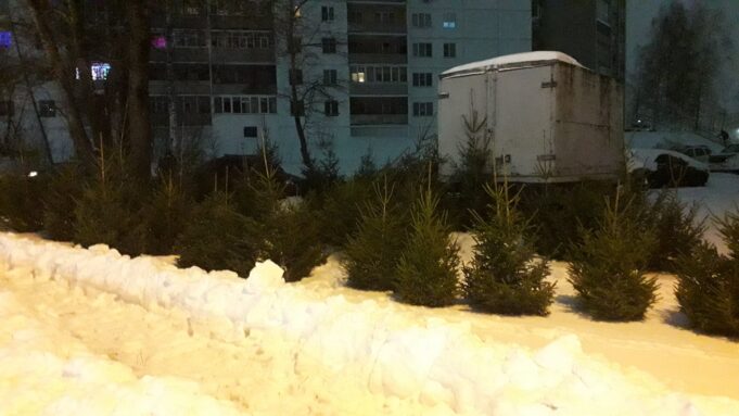 Дата проведения акции «Елкомобиль» изменилась