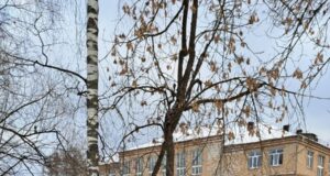 В Рыбинске учеников целой школы перевели в другую из-за коммунальной аварии