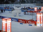 Деминский лось ждет гостей и участников главной лыжной гонки страны