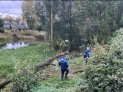 В Рыбинском районе планируют расчистить дно одной из рек