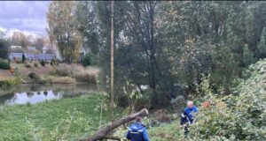 В Рыбинском районе планируют расчистить дно одной из рек