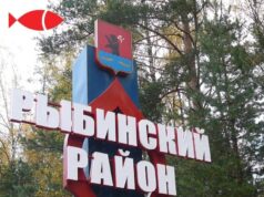 Мечта об ярославских Эмиратах: глава Рыбинского района о главных задачах и итогах работы