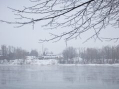 В Рыбинске укрепят левый берег Волги