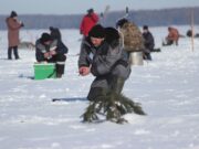 Горожан приглашают на фестиваль «Рыбинская рыбалка — 2024»