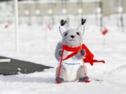 В Рыбинск приедут 700 юных биатлонистов со всей страны