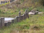 В Рыбинске готовятся к берегоукреплению в Волжском