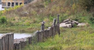 В Рыбинске готовятся к берегоукреплению в Волжском