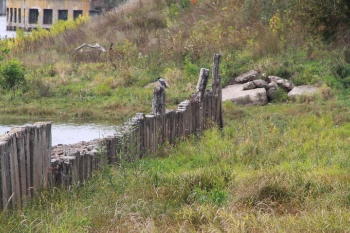 В Рыбинске готовятся к берегоукреплению в Волжском