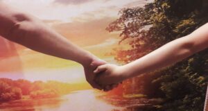 Любовь и тепло для тех, кому этого не хватило