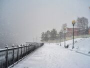 В Рыбинске состоится марафон «Идет Вся Страна»