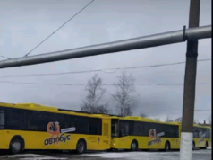 Первая партия новых желтых автобусов уже в Рыбинске