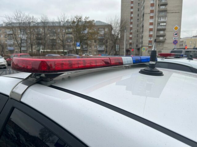 Рыбинец обвиняется в смертельном ДТП