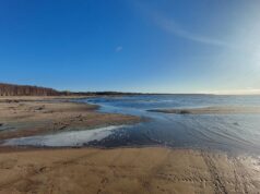 На Рыбинском водохранилище началось половодье