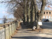 В Рыбинске стартует месячник санитарной уборки