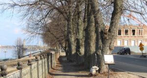 В Рыбинске стартует месячник санитарной уборки