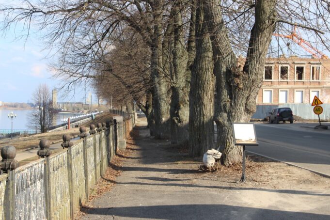 В Рыбинске стартует месячник санитарной уборки